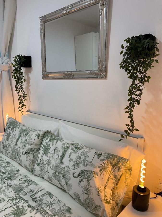 Apartment Dream Recova Santa Cruz de Tenerife