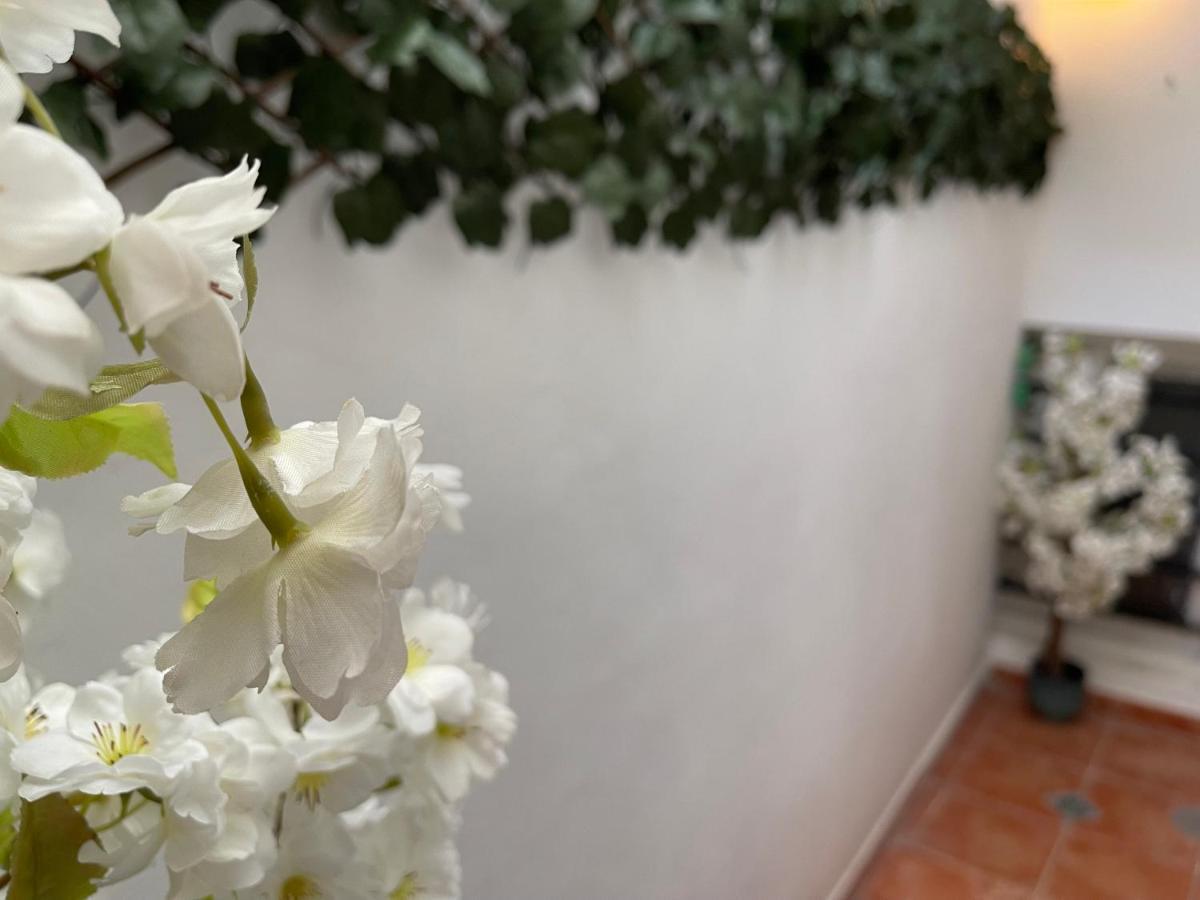 Dream Recova Apartment *