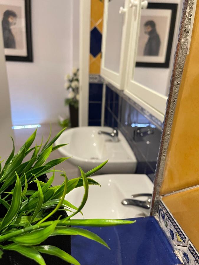 Apartament Dream Recova *